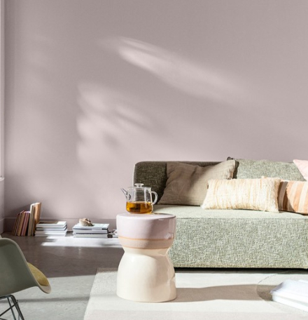 Lịch sử phát triển