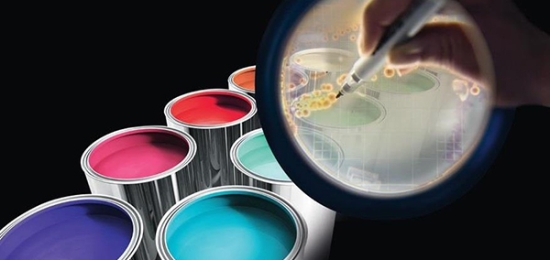 Sơn chống thấm hyosung cho mọi công trình